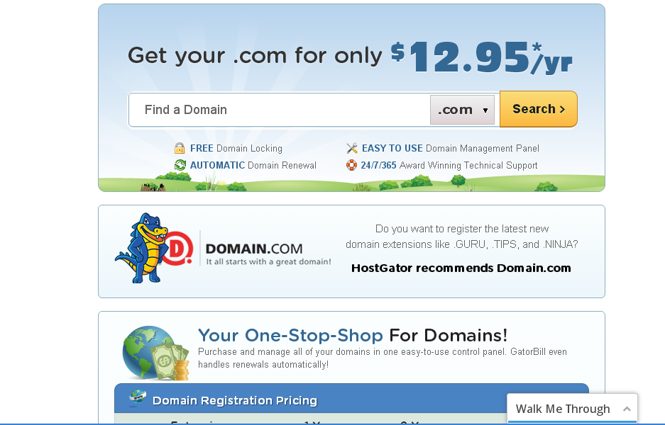 domain registration